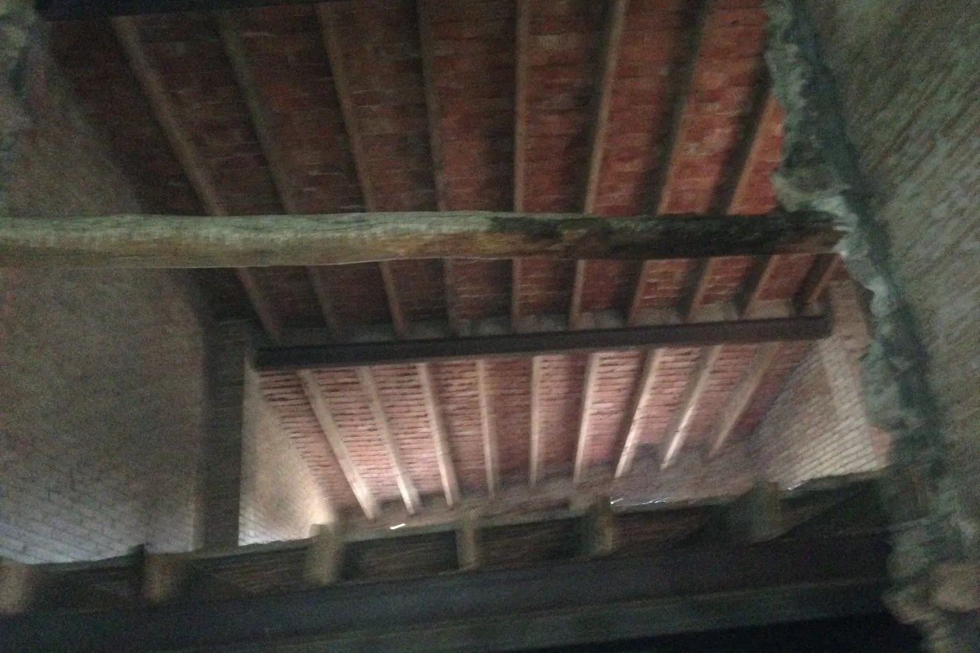 Estructura de coberta amb jàsseres, bigues de fusta i revoltó ceràmic